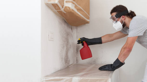 Professional Crawl Space Mold Remediation technician working in Concord, PA