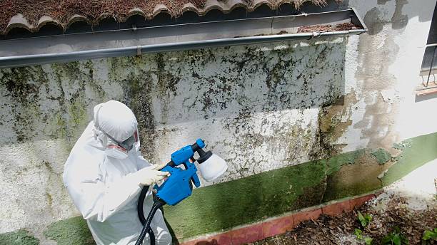 Top rated local Crawl Space Mold Remediation specialists in Concord, PA